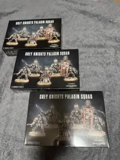 ウォーハンマー　40K グレイナイト　パラディン　3セット　WARHAMMER