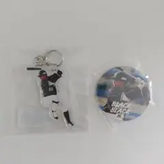 千葉ロッテ 寺地隆成 選手番号65 キーホルダー&バッジセット