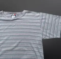 Arizona jeans mulch border Tee /マルチボーダーT