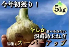 ☆新春初売りセール☆産地直送!淡路島新玉ねぎ【秀品5kg】送料無料 野菜