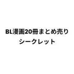 BL漫画20冊まとめ売りシークレット