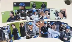 北海道日本ハムファイターズ 田宮裕涼 ハイライトフォト まとめ売り