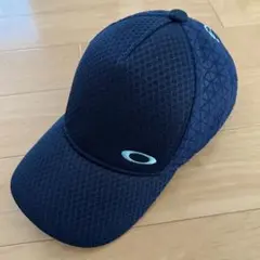 Item thumbnail for item a25d37e2-e575-4f0d-8185-8721cfea73fa