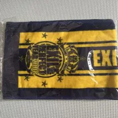 LDH EXILE 2008 perfect year ツアータオル