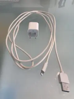 Apple純正Lightningコネクタ　社外ライトニングケーブル　充電器セット