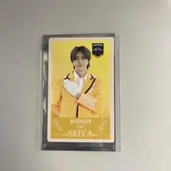 BUDDiiS SEIYA エビライ 2025 トレカ