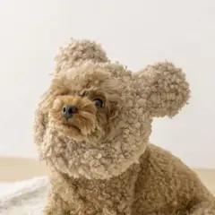 Item thumbnail for item c3120f46-76ab-42a1-ad51-9a1ae5468281