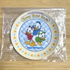 未使用 ディズニーランド グッドタイムカフェ メラミン プレート スーベニア