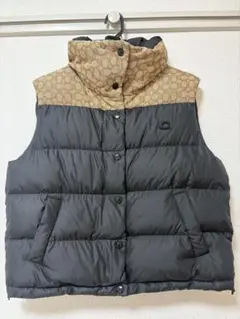 Item thumbnail for item 39f36157-5f62-47d5-be60-580919ec79ef
