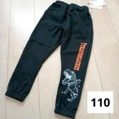 Item thumbnail for item 9f5352b4-47b4-41f3-ba66-2fd3574d98d4