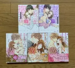甘えていいよ、満たすから。 秘密にするから抱かれろよ TLコミック 女性漫画
