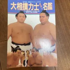 大相撲力士カラー名鑑 1995年版