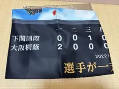 甲子園　オリジナル冷感クールタオル　高校野球選手権大会　抽選当選品　非売品