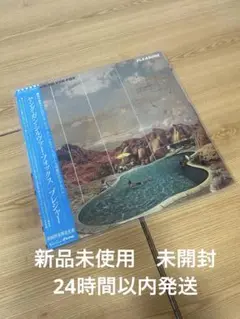 プレジャー＜初回完全限定生産盤＞