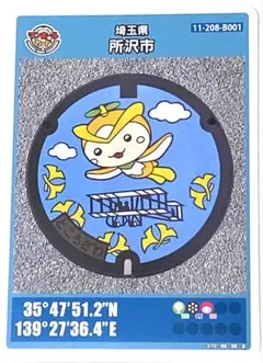 ⚫️マンホールカード 第8弾 埼玉県 所沢市 B001 ロット014 匿名配送