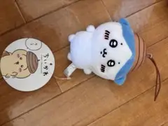 ハチワレどんぐり