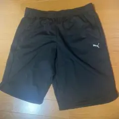 Item thumbnail for item e066031c-bed7-479a-a9d8-195c6244541a