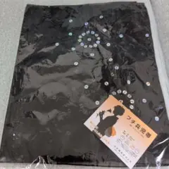 Item thumbnail for item 5eddbf71-32f0-4659-b48c-3344011fcb25