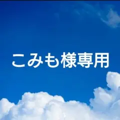 こみも様専用 多肉植物 エケベリア