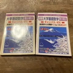 【2冊セット】初めから学べると評判の大学基礎数学微分積分キャンパス・ゼミ 高校数