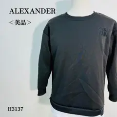 【美品】アレキサンダー　Y2Kレイヤード風スウェット 袖ジップ 裏起毛 L 黒