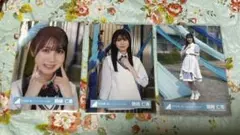 日向坂46 鶴崎仁香 ジャーマンアイリス ヨリ チュウ ヒキ