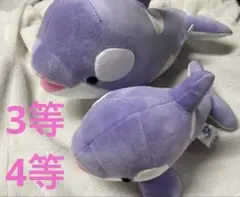 神戸 須磨シーワールド オルカくじ ラベンダー 3等 4等 シャチ ぬいぐるみ
