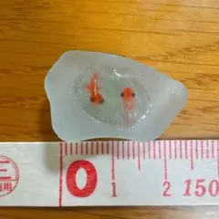 シーグラス:魚