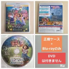【未使用】ディズニー　ミラベルと魔法だらけの家(Blu-ray)のみ❗