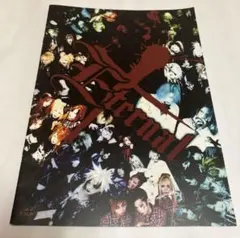 the GazettE パンフレット　エターナル最終章　 RUKI