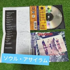 帯付き国内盤　ソウル・アサイラム/セイ・ホワット・ユー・ウィル