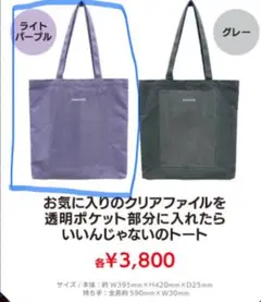 アンジュルム 2024 秋ツアー トートバッグ パープル