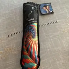 Item thumbnail for item 95ef8a9d-7b76-4855-9541-864c8fd5fcd0