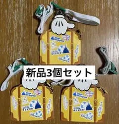 【新品未使用】東京ディズニーリゾート バケーションパッケージ チケットホルダー
