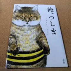 俺、つしま