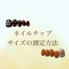 chip star☆ サイズの測定方法　〈ご確認ください〉