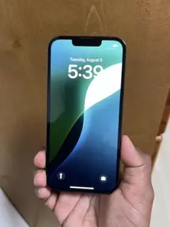 Apple iPhone 13 Pro アルパイングリーン 本体