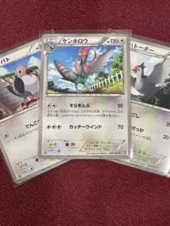 マメパト＆ハトーボー＆ケンホロウ C BW1 ブラックコレクション