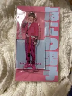 アクスタ fest なにわ男子 藤原丈一郎 新品未使用 新品未開封
