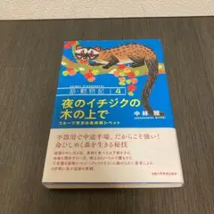 夜のイチジクの木の上で フルーツ好きの食肉類シベット 本
