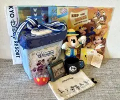 【ディズニー 】バケーションパッケージ限定グッズ4点セット＋おまけ4点付き