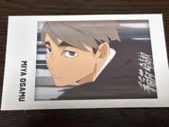 キャラポトレ ハイキュー！！ 宮治 トレカ