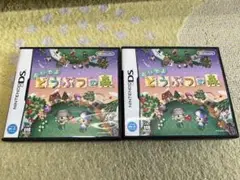 ニンテンドーDS おいでよ どうぶつの森 2本セット