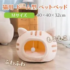 Item thumbnail for item 4bc8b606-0a03-465b-bee4-cd3785cc8a77