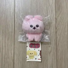 チェゴシムぬいぐるみ☆