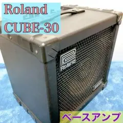 【完動品】Roland CB-30 ローランド CUBE-30 ベースアンプ Roland - CUBE 30 | Guitar Amplifier