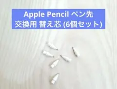 Apple Pencil ペン先 交換用 替え芯 (6個セット)