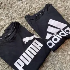 Item thumbnail for item 86c2d0ec-c755-4f12-b41a-55edaad011e1