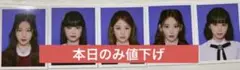 ルセラフィム シーグリ 証明写真