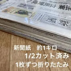 新聞紙 まとめ売り 1/2カット済み 1枚ずつ折りたたみ 約1キロ(935g)